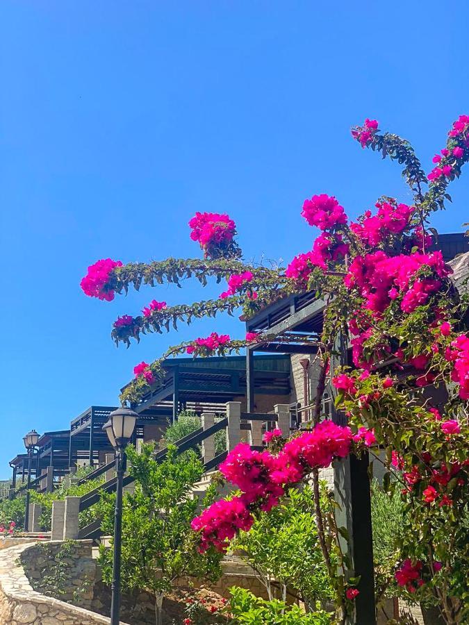 Aqua Holiday Apartments Vlora Kültér fotó